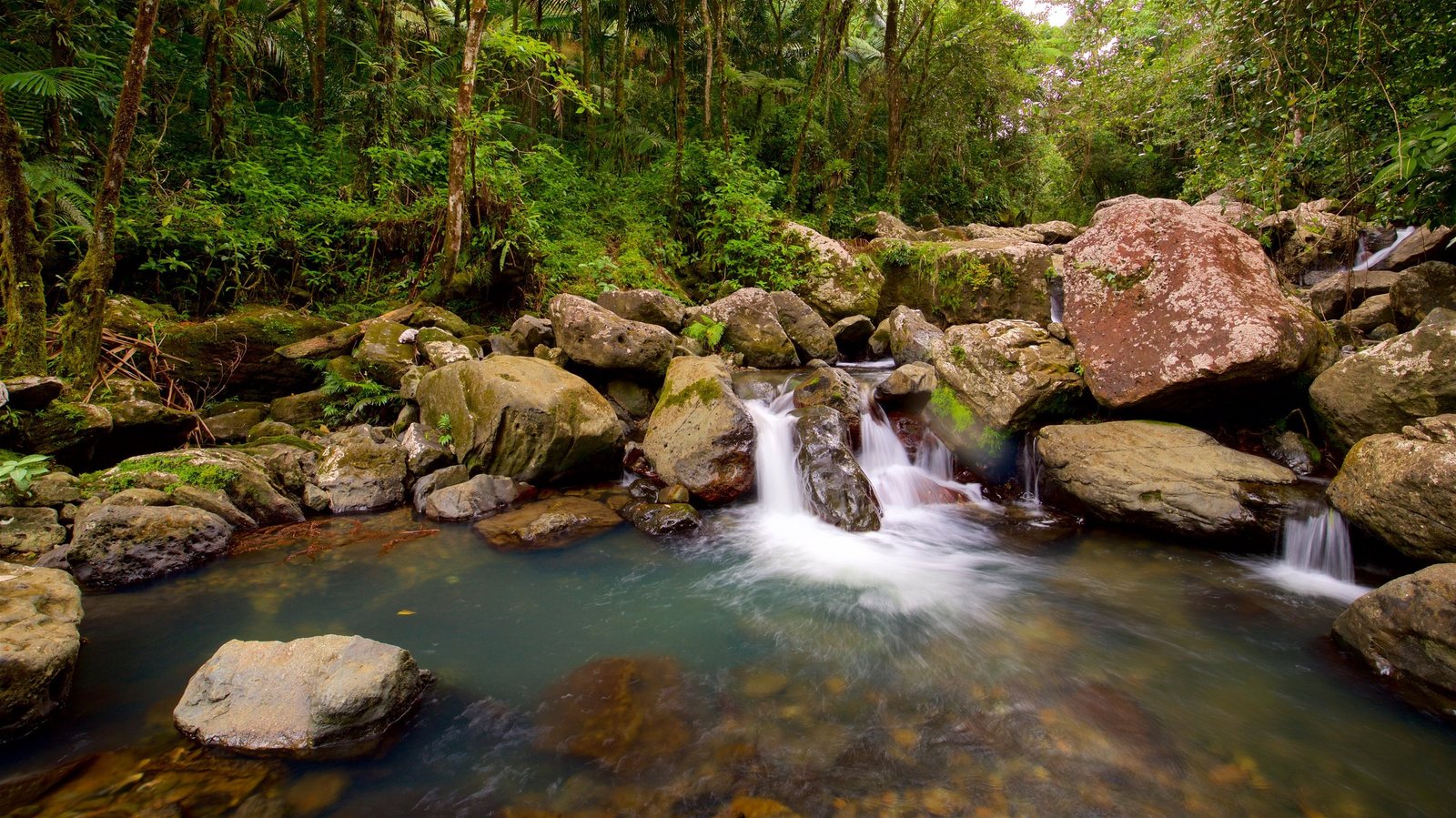 El Yunque Rainforest and Luquillo Beach