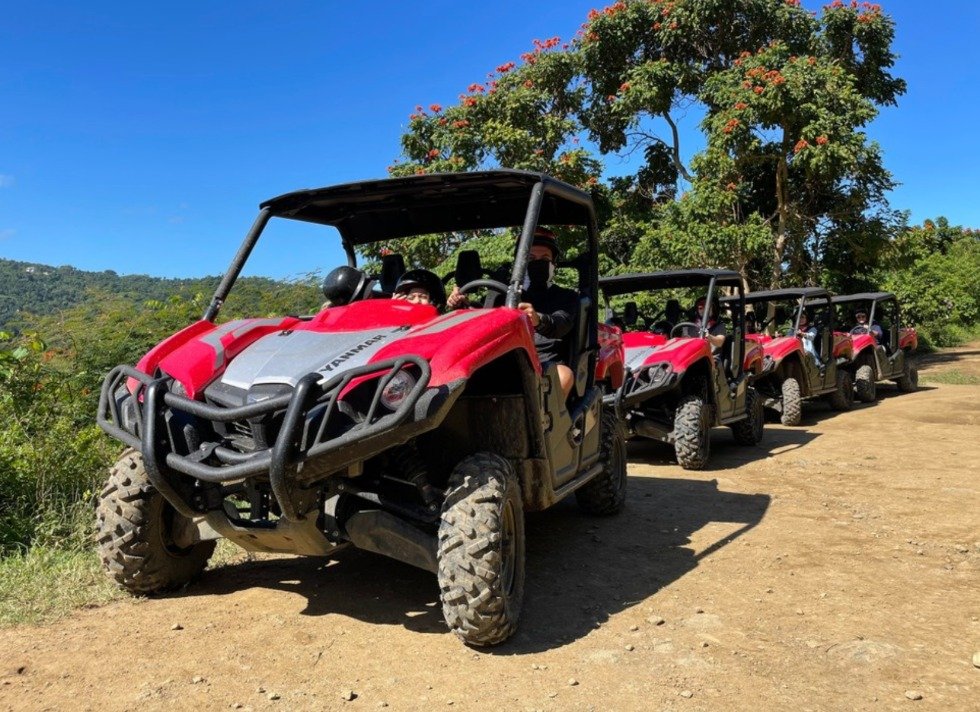 Weekdays - UTV Rainforest