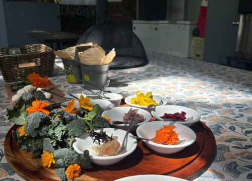 Farm to Table Tasting Tour