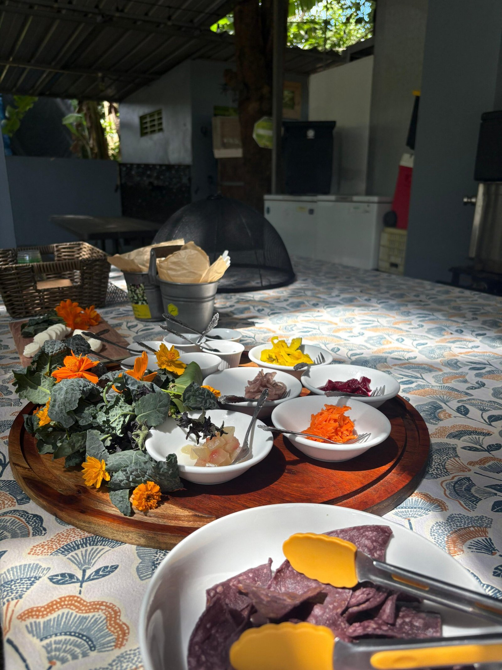 Local Farm in Manatí