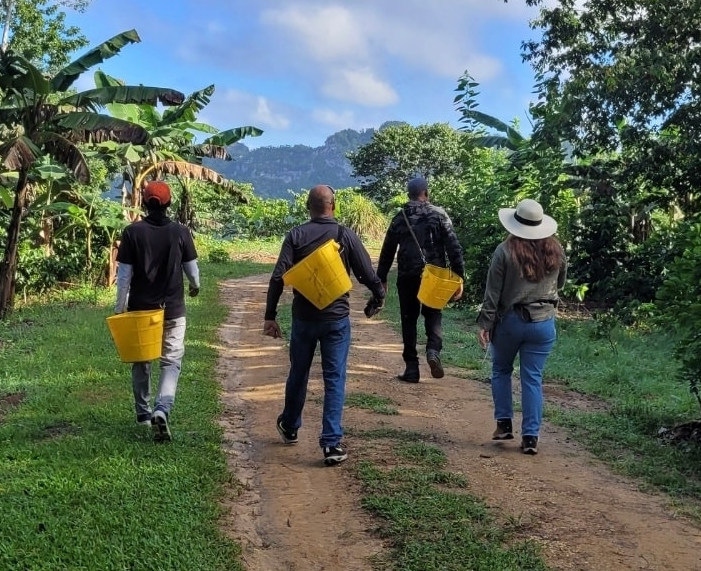 Coffee Plantation Tour - Harvest Coffee